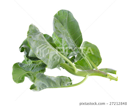 chinese broccoli on white background chinese broccoli on white background 27212848