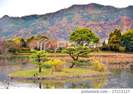 Old Saga Imperial Palace Owakuji Osawake Pond Kikuga Island Autumn Leaves 27213127