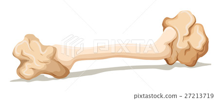 Leftover bone on the floor 27213719