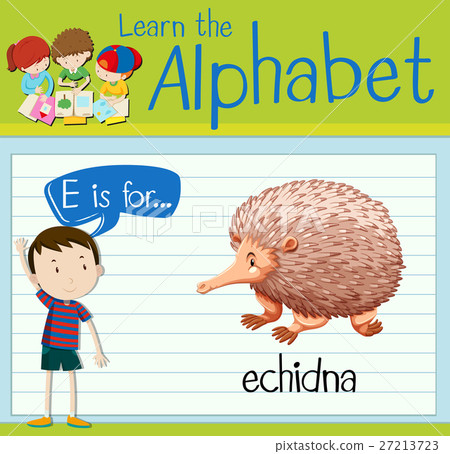 Flashcard letter E is for echidna 27213723