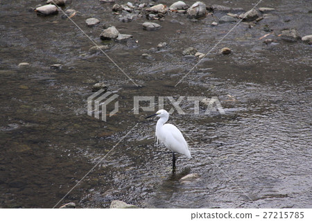 Shirasagi（大和市佐川） 27215785