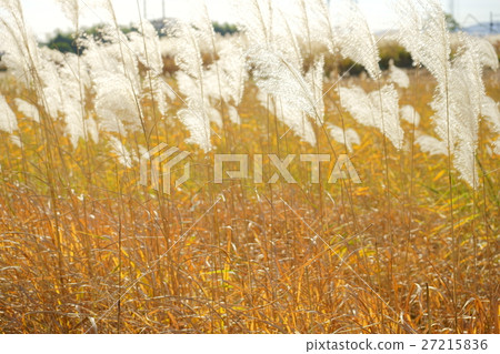 Spinel of Suzuki 2 Spinel of Suzuki 2 27215836