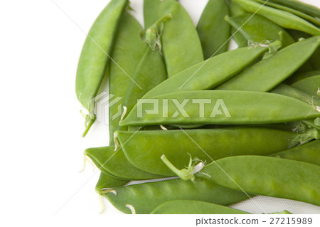 菜Sayaka簡單的白色後面照片 27215989