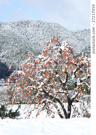 大原沒有佐藤的雪景 27217059