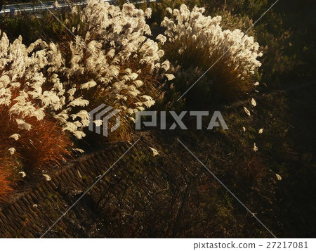 Landscape in winter Susuki 27217081