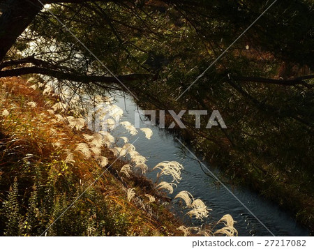Landscape in winter Susuki Landscape in winter Susuki 27217082