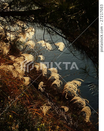 在冬天Susuki景觀 27217083