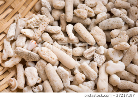 珊瑚碎片 27217197