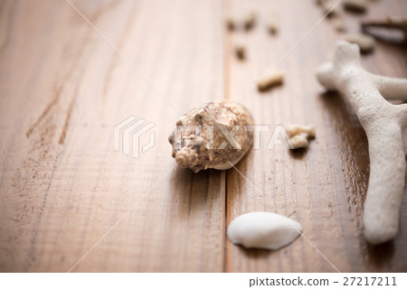 Coral fragments 27217211