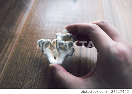 珊瑚碎片 27217443