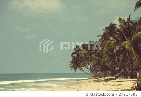 Tropical beach 27217593