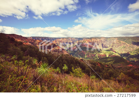 Waimea canyon Waimea canyon 27217599