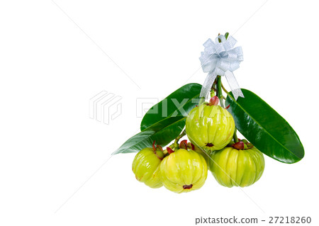 Bunch of garcinia cambogia fresh fruit, isolated 27218260