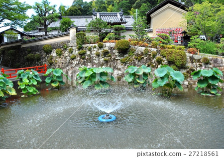 Jogetsuji garden 27218561