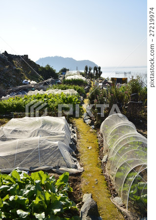 [Shiga Prefecture] Remote island of Lake Biwa, village scenery of Okishima (1,000 yen field) 27219974