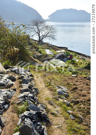[Shiga Prefecture] Remote island of Lake Biwa, village scenery of Okishima (1,000 yen field) 27219979