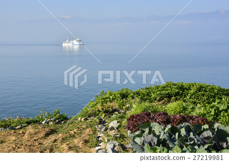 [Shiga Prefecture] Remote island of Lake Biwa, village scenery of Okishima (1,000 yen field) 27219981