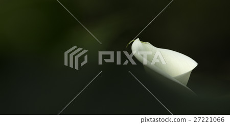 廠 廠 27221066