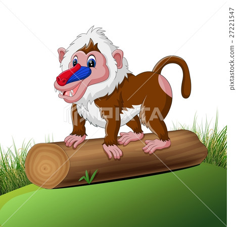 illustration of Cute baboon cartoon illustration of Cute baboon cartoon 27221547