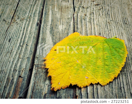 Autumn leaf on wooden background Autumn leaf on wooden background 27223251