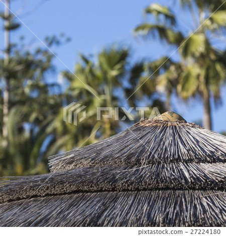 woven umbrellas above rows on beach in Cyprus. 27224180