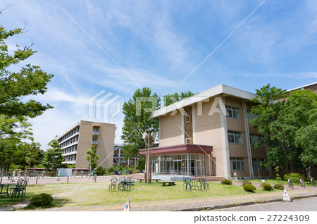 Niigata University Niigata University 27224309