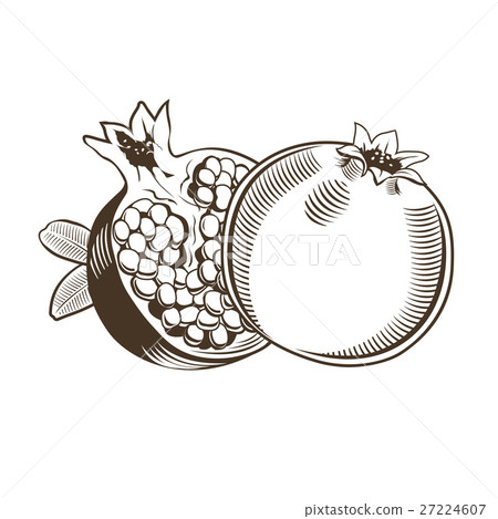 Pomegranates in vintage style 27224607