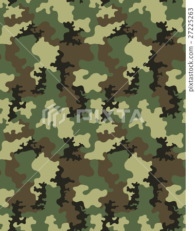 Fashionable camouflage pattern Fashionable camouflage pattern 27225263