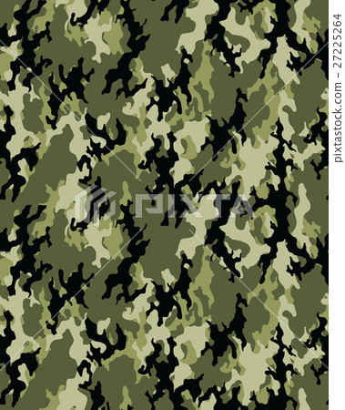 Fashionable camouflage pattern Fashionable camouflage pattern 27225264