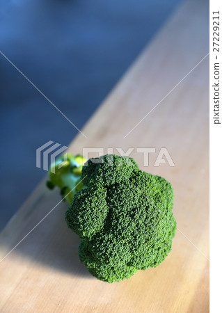 收穫後的西蘭花 27229211