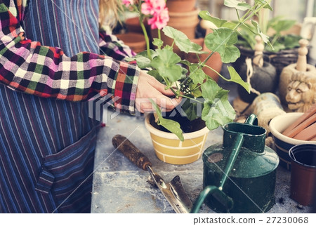Cultivate Garden Nature Seasonal Growth Concept Cultivate Garden Nature Seasonal Growth Concept 27230068