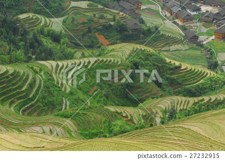landscape landscape 27232915