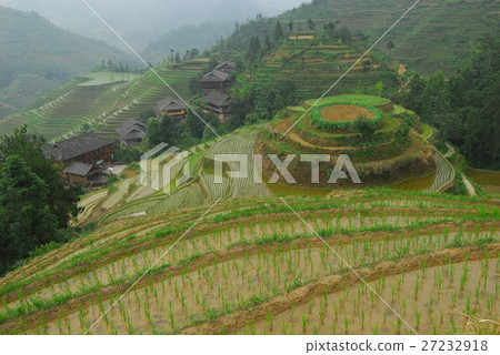 landscape landscape 27232918