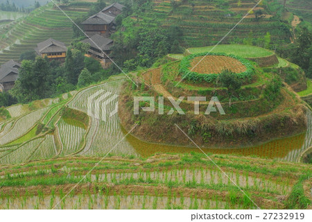 landscape landscape 27232919