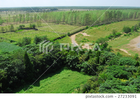 Dafeng National Natural Reserve. 27233091