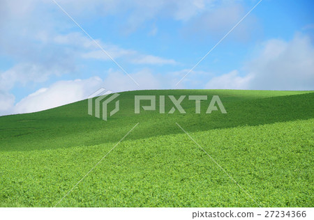 green grass field and bright blue sky 27234366