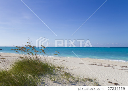 Caribbean beach Caribbean beach 27234559