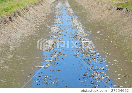 empty riverbed irrigation ditch without water . empty riverbed irrigation ditch without water . 27234662