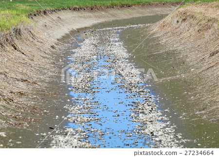 empty riverbed irrigation ditch without water . 27234664