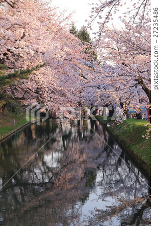 Hirosaki Park in full bloom Hirosaki Park in full bloom 27235486