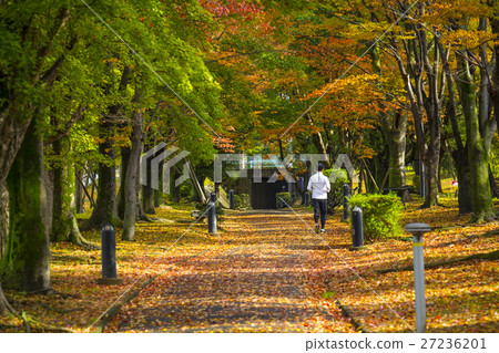 Kasugai shi Fureai green road 27236201