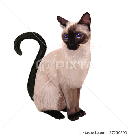 Shamnenko Shamnenko 27236803