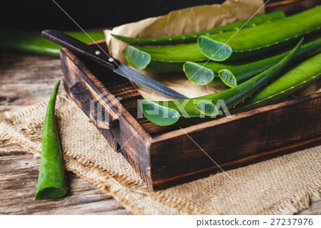 Fresh Aloe Vera Fresh Aloe Vera 27237976