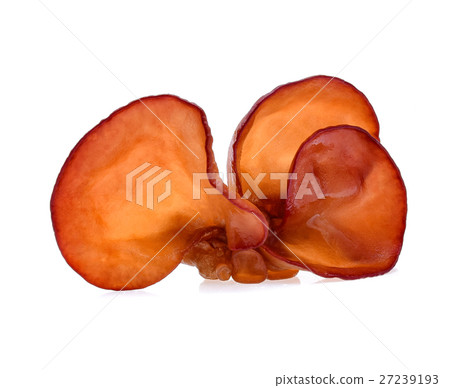 ear mushroom on white background ear mushroom on white background 27239193