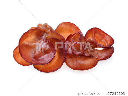 ear mushroom on white background 27239203