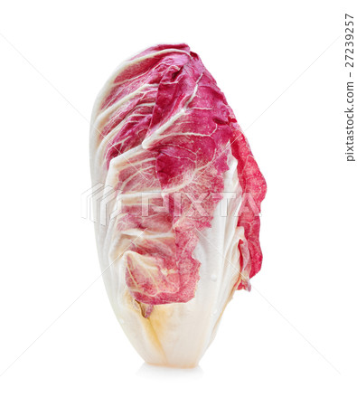 red chicory leaves isolated on white background 27239257
