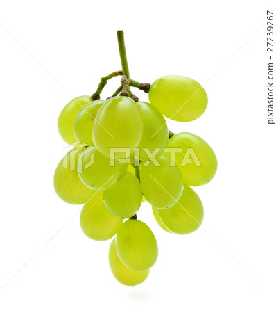 green grapes isolated on white background 27239267