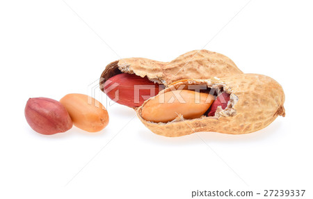 peanuts isolated on white background 27239337