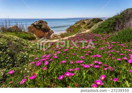 Spring seascape Albufeira beaches. 27239350