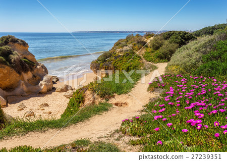Trail and the spring landscape Albufeira beaches. 27239351